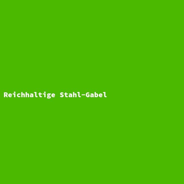 Reichhaltige Stahl-Gabel
